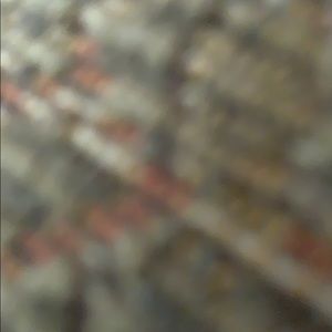 Meet your Posher, Bailey